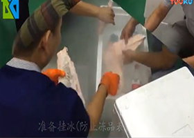 Liquid nitrogen quick-frozen fish fillet