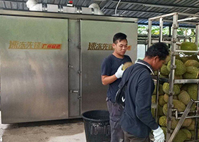 Durian liquid nitrogen quick freezer