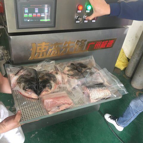 大頭魚(yú)速凍柜.jpg